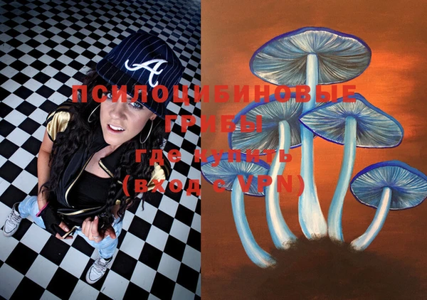 PSILOCYBIN Алексин