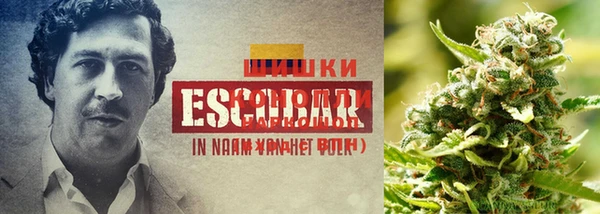кокаин премиум Алзамай